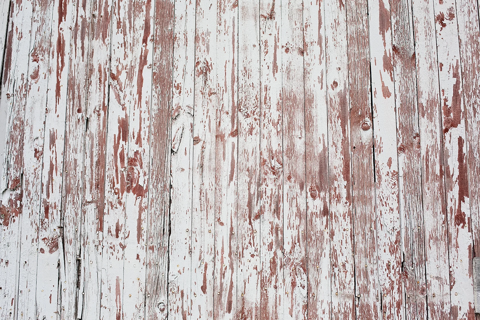 Wood Texture Wallpaper