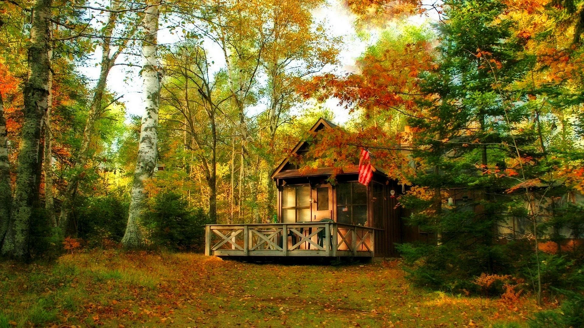 Wooden House In The Forest Wallpaper