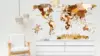 Wooden World Map Wallpaper
