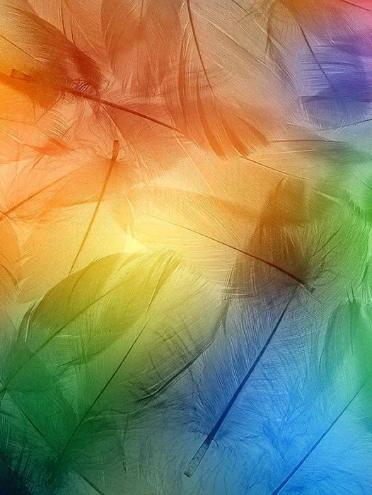 Xiaomi Feathers Wallpaper