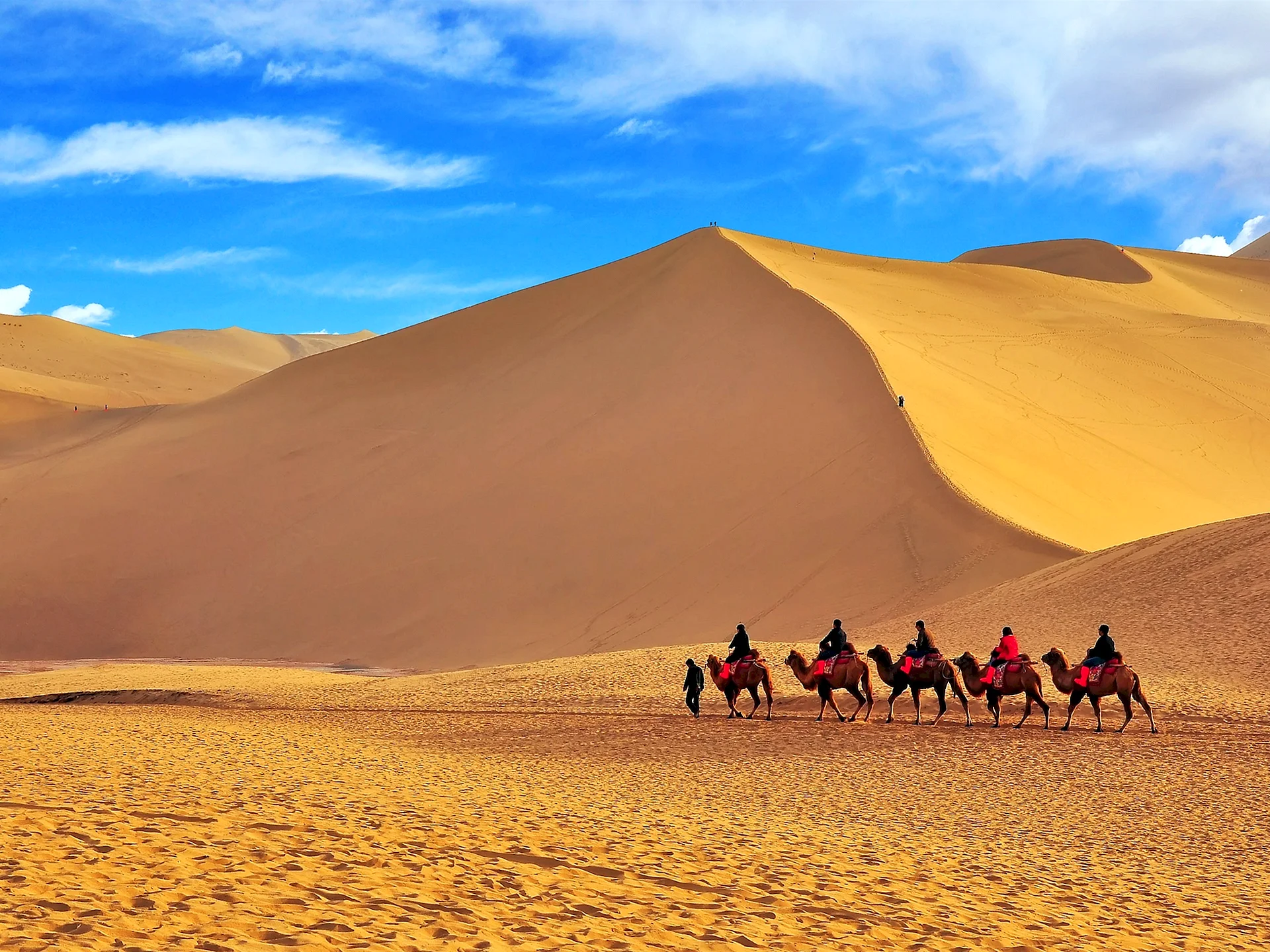 Xinjiang Desert Wallpaper