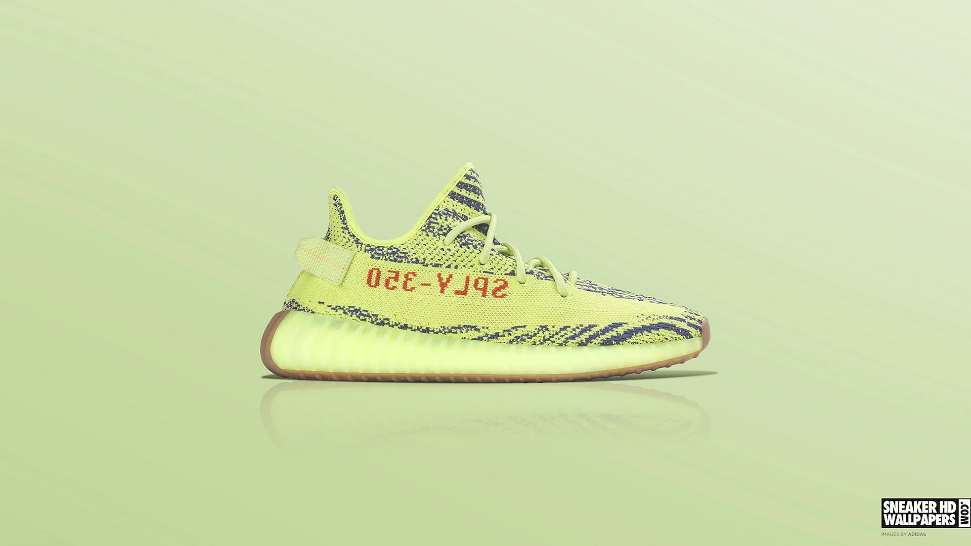 Yeezy 350 Wallpaper