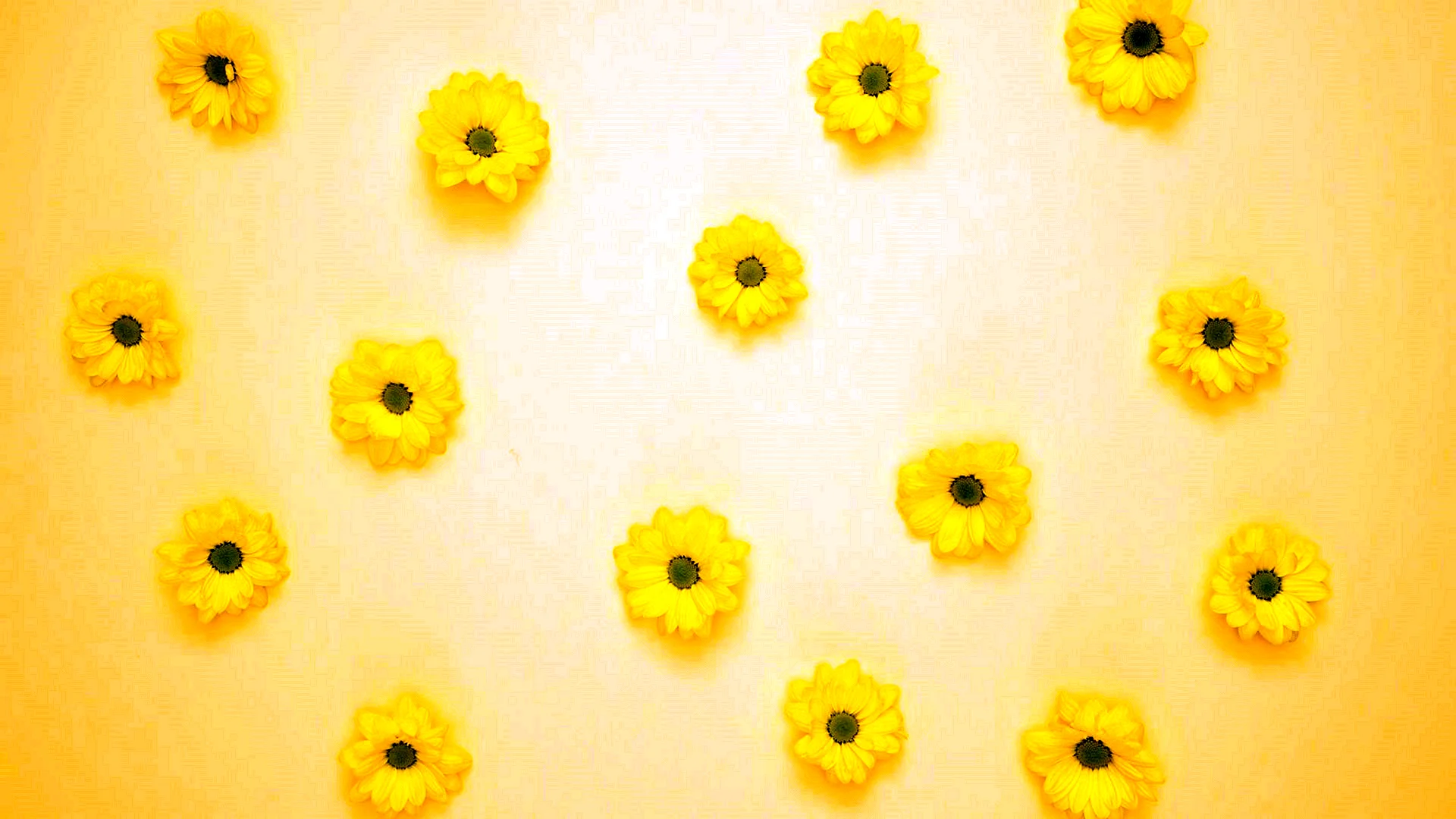 Yellow Aesthetic Wallpaper