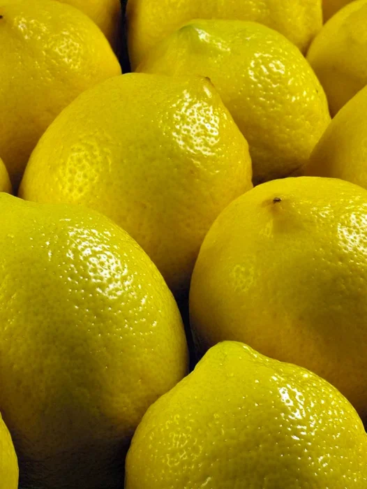 Yellow Lemon Wallpaper