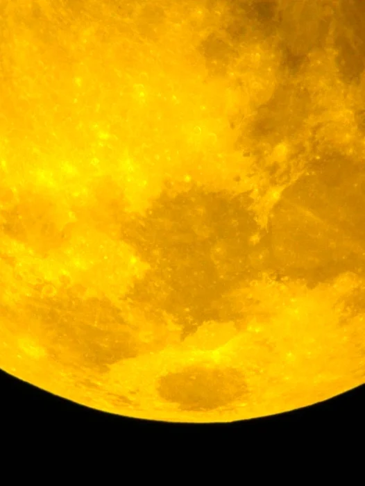 Yellow Moon Wallpaper