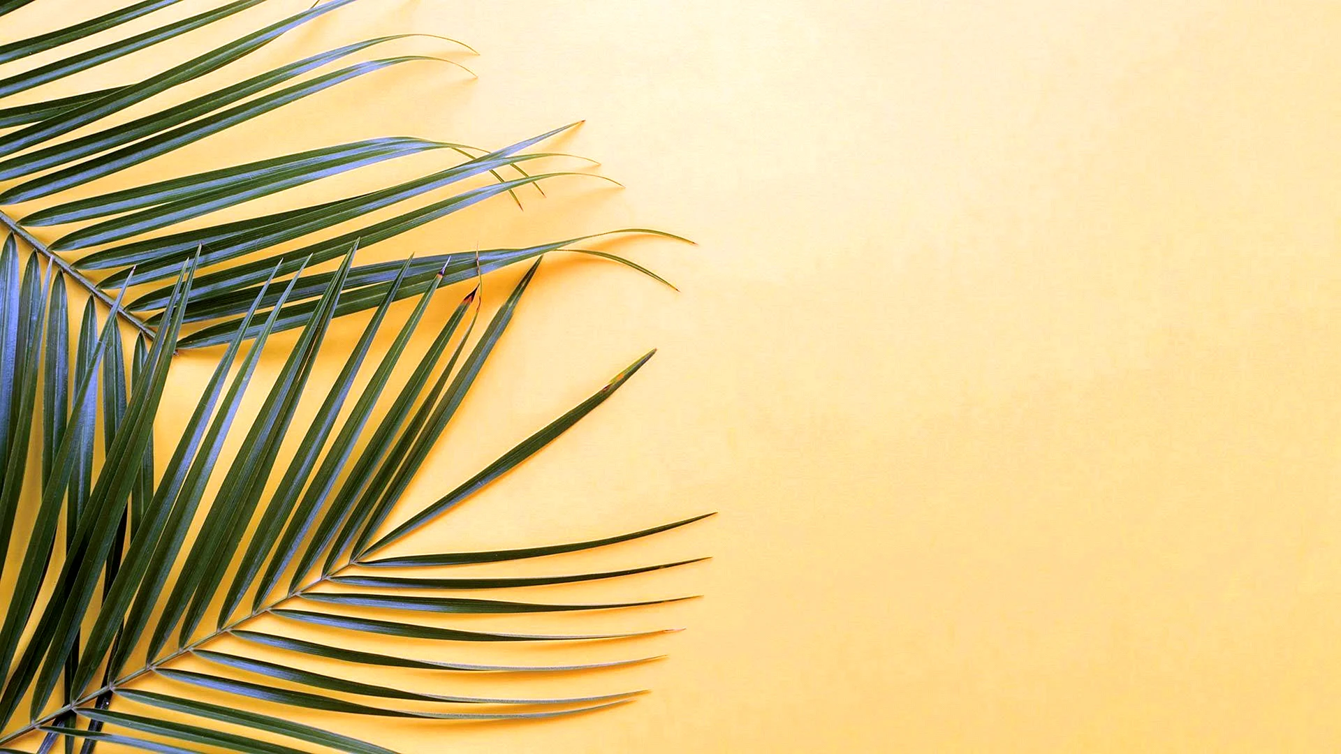 Yellow Palm Leaf Wallpaper