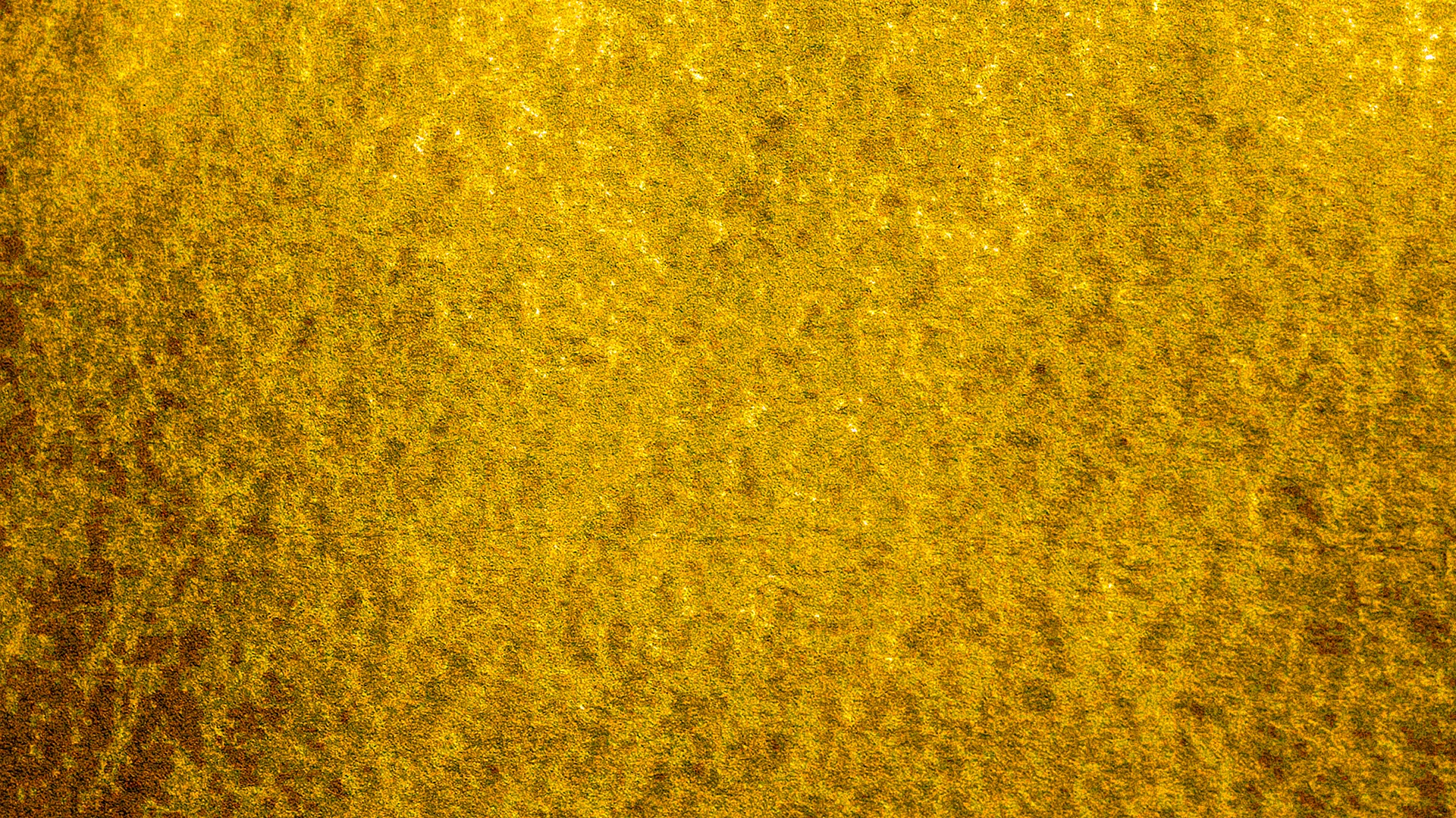Yellow Paper Texture Wallpaper