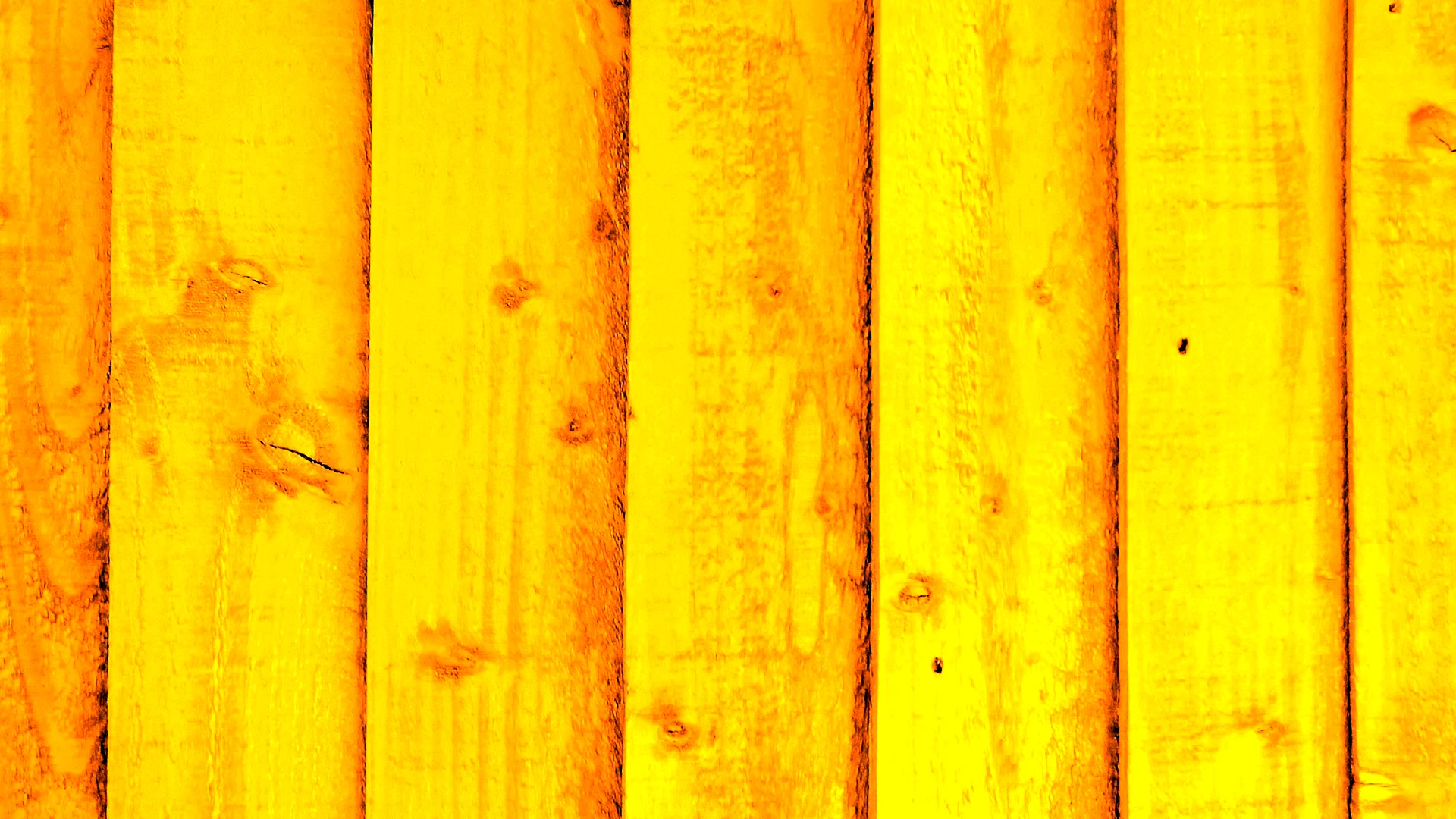 Yellow Wood Wallpaper