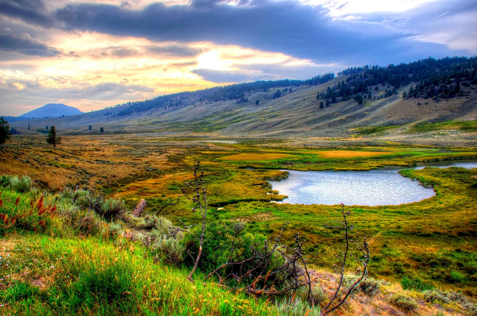 Yellowstone National Park Wallpaper