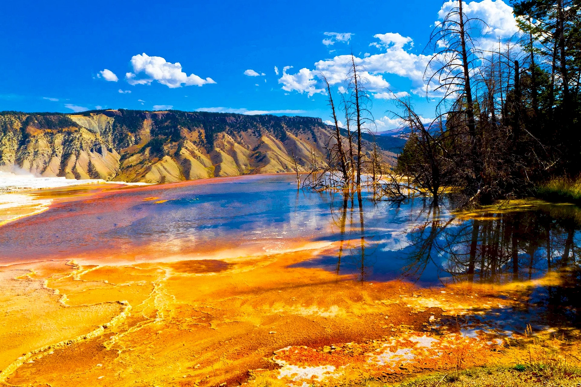 Yellowstone National Park Wallpaper