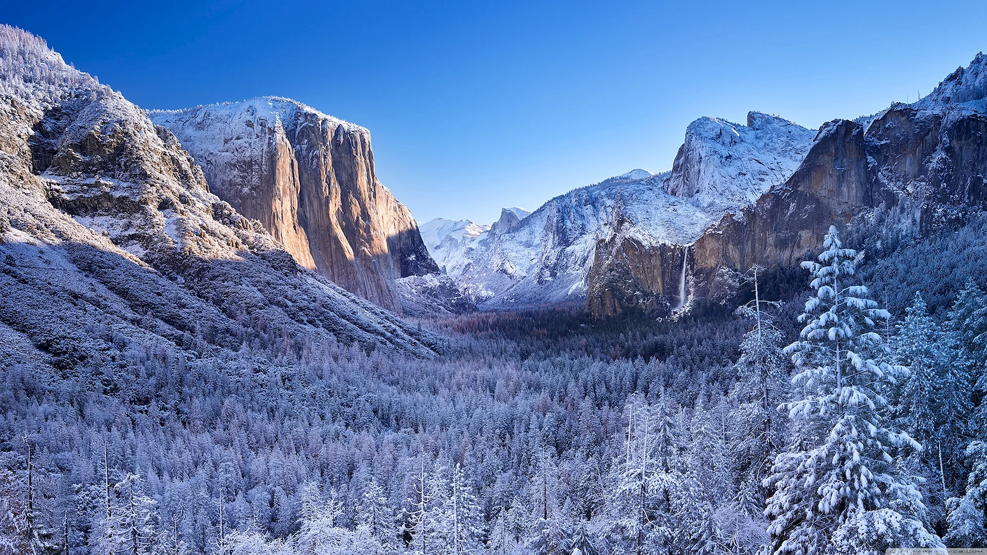 Yosemite National Park Wallpaper