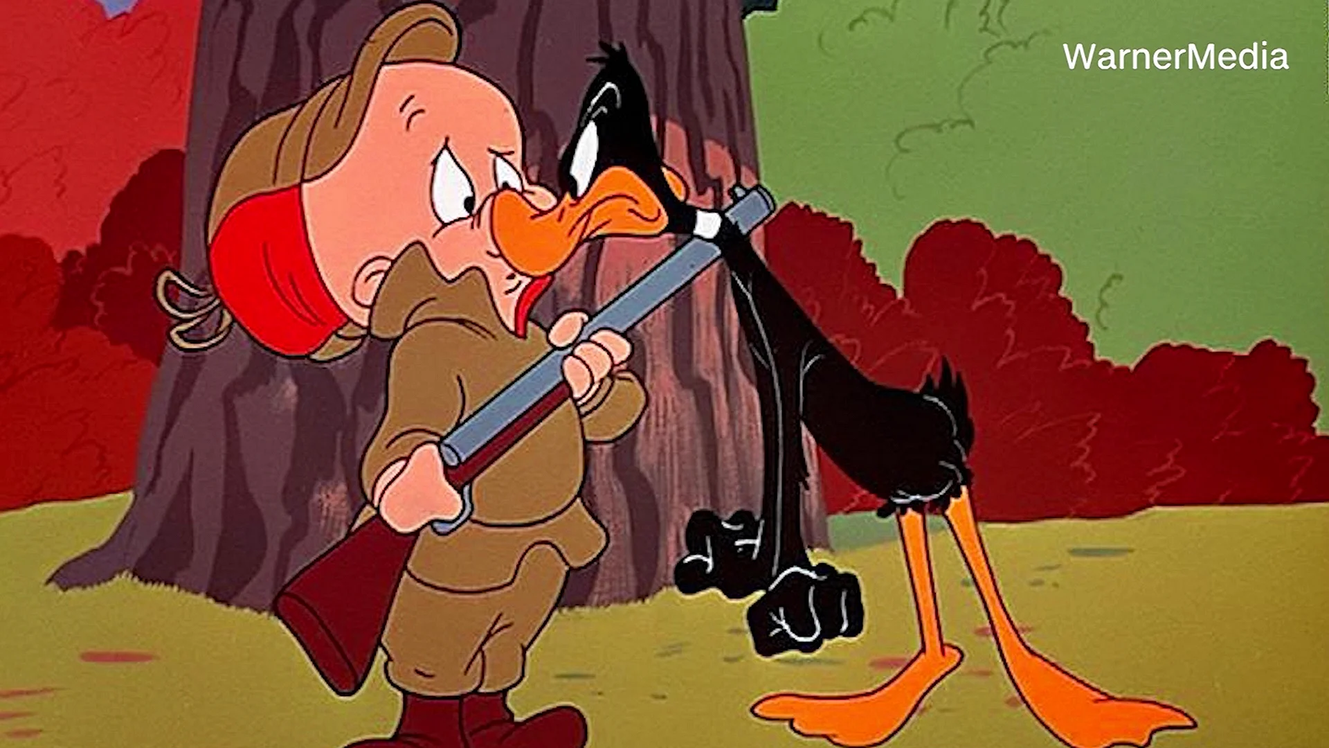 Yosemite Sam Elmer Fudd Wallpaper