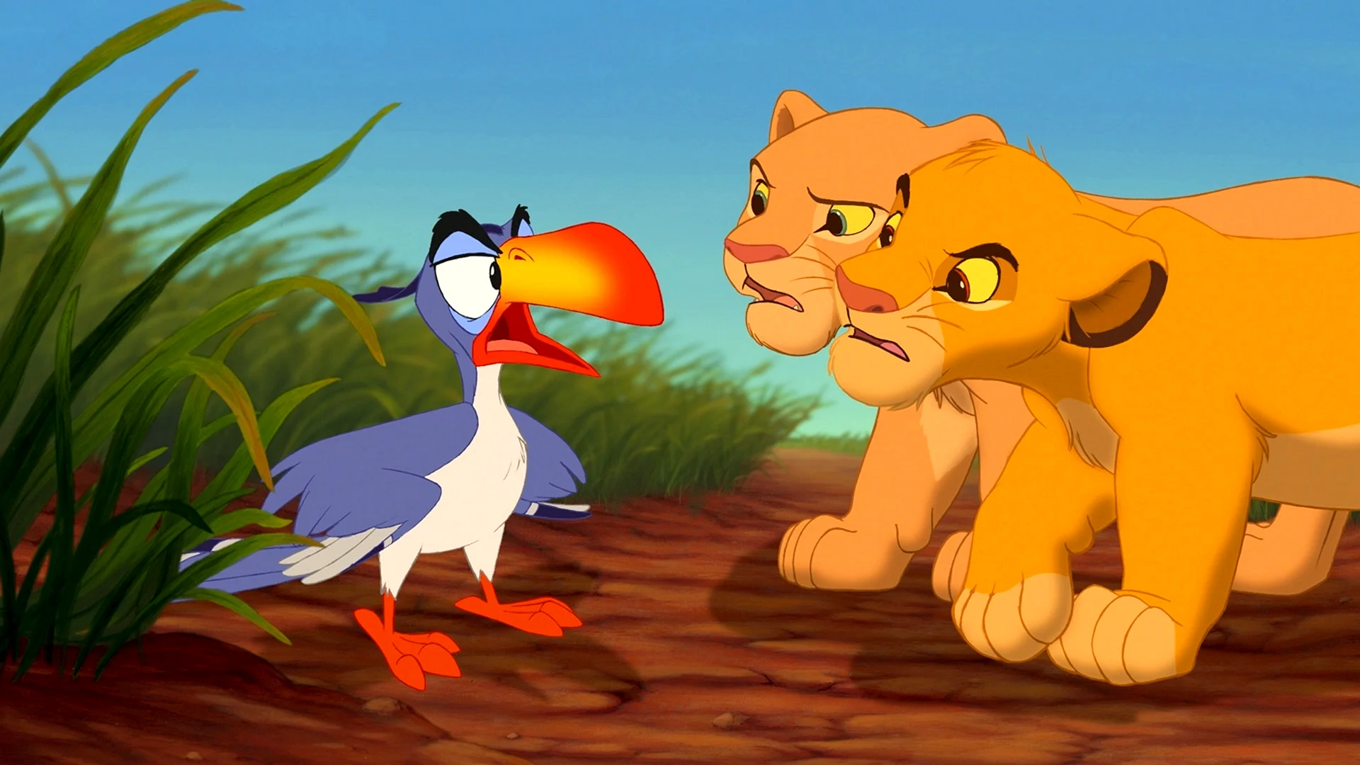 Zazu Lion King Wallpaper