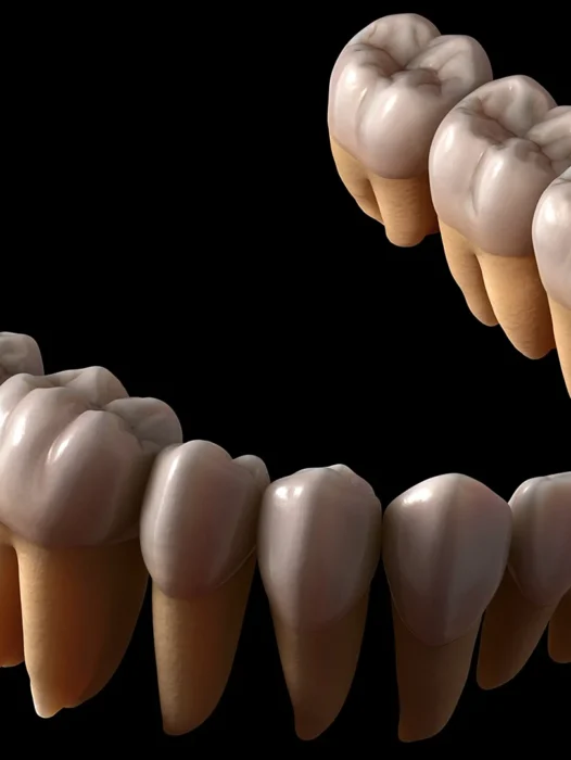 Zbrush Tooth Wallpaper