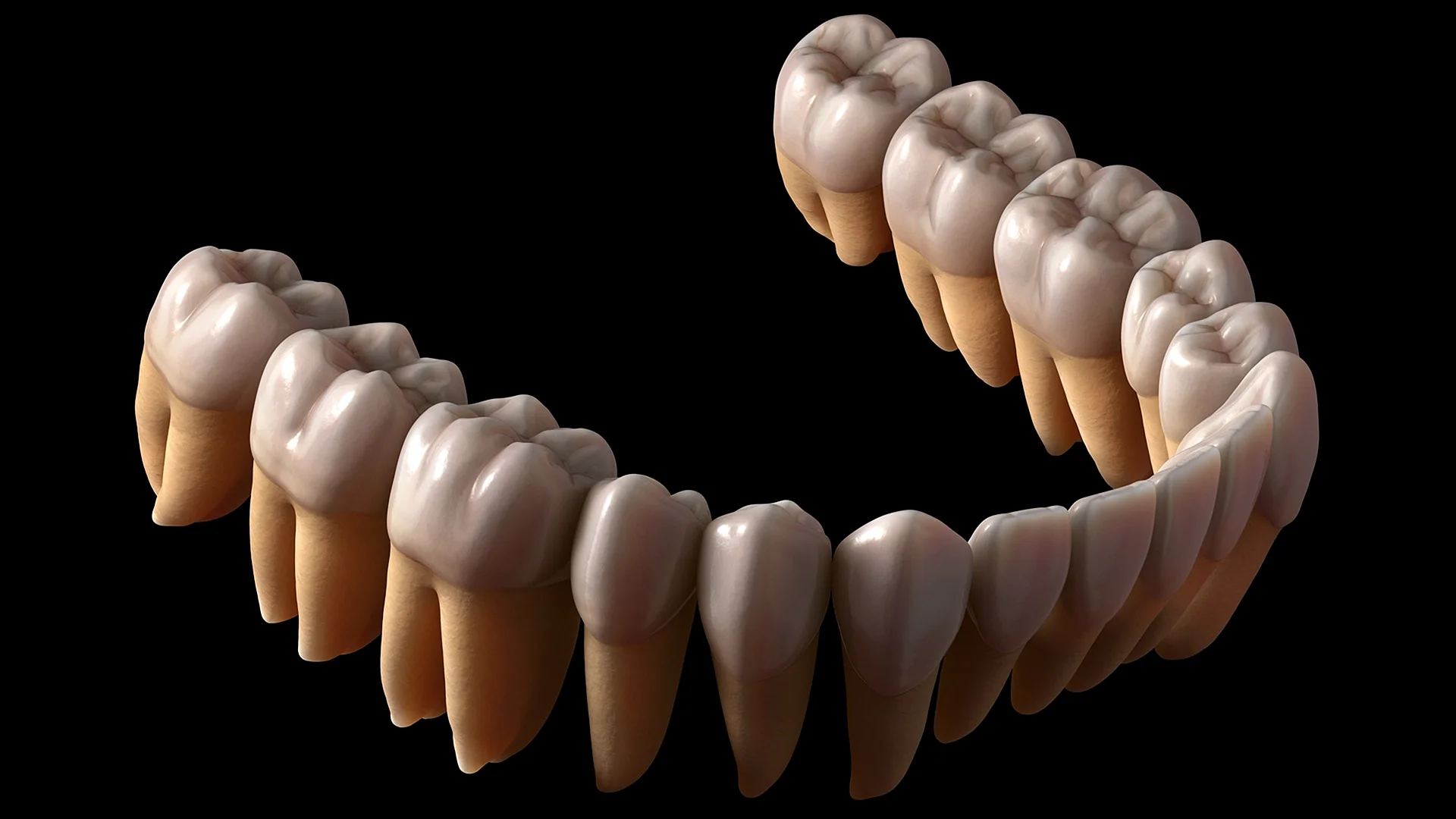 Zbrush Tooth Wallpaper