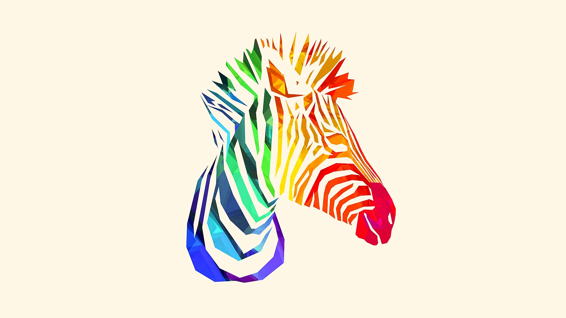 Zebra Animals Illustrations Wallpaper