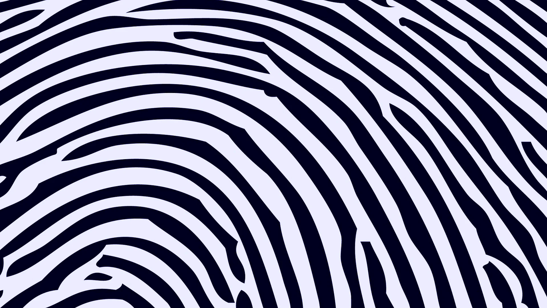 Zebra Pattern Wallpaper