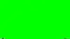 Zelensky Green Screen Wallpaper